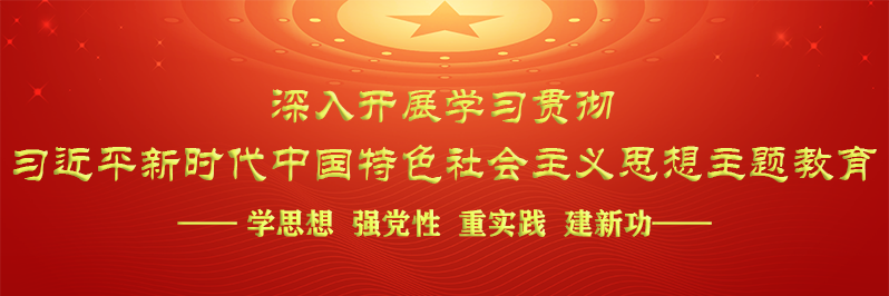 深入開(kāi)展學(xué)習(xí)貫徹習(xí)近平新時(shí)代中...